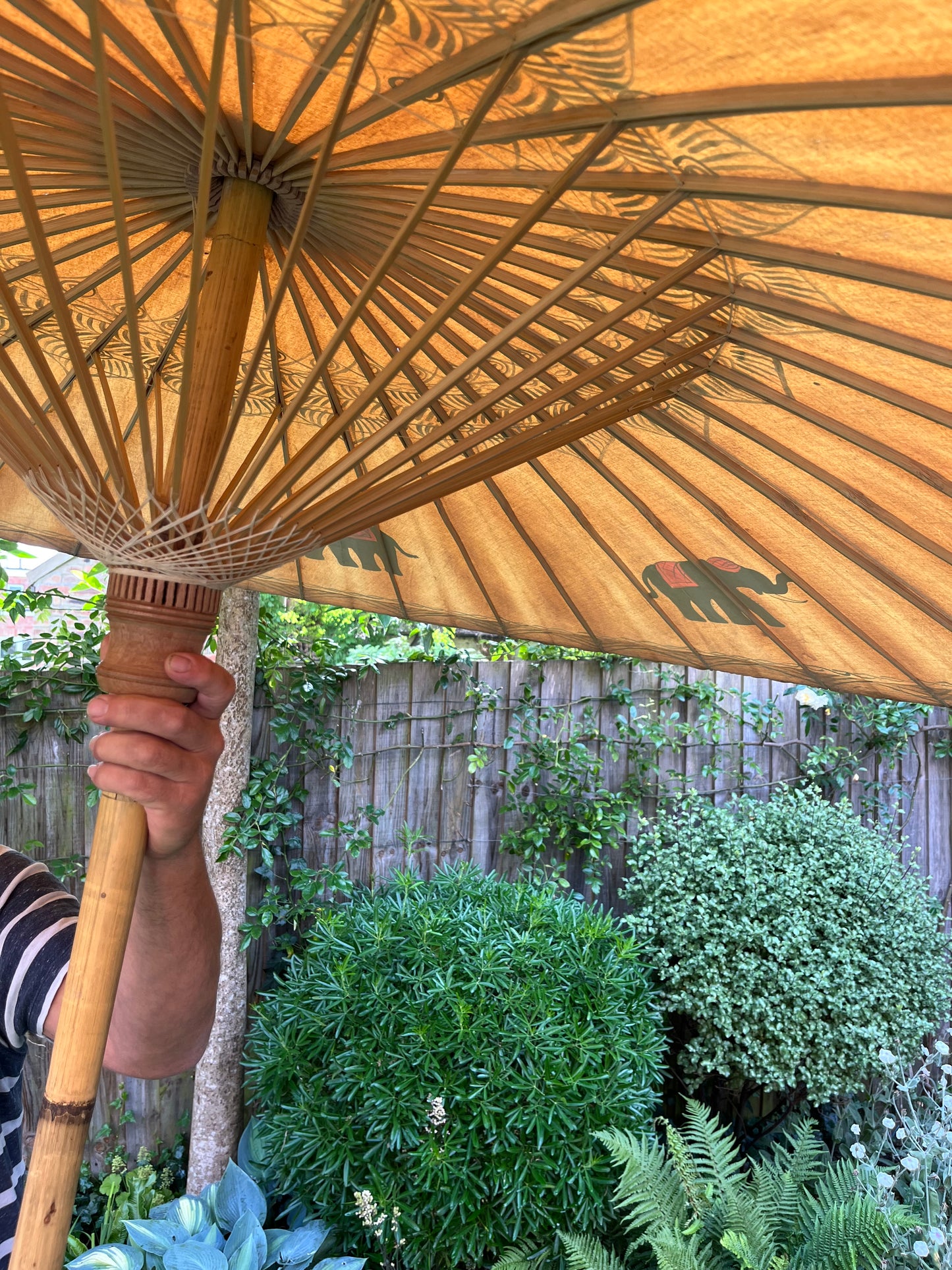Vintage Parasol.