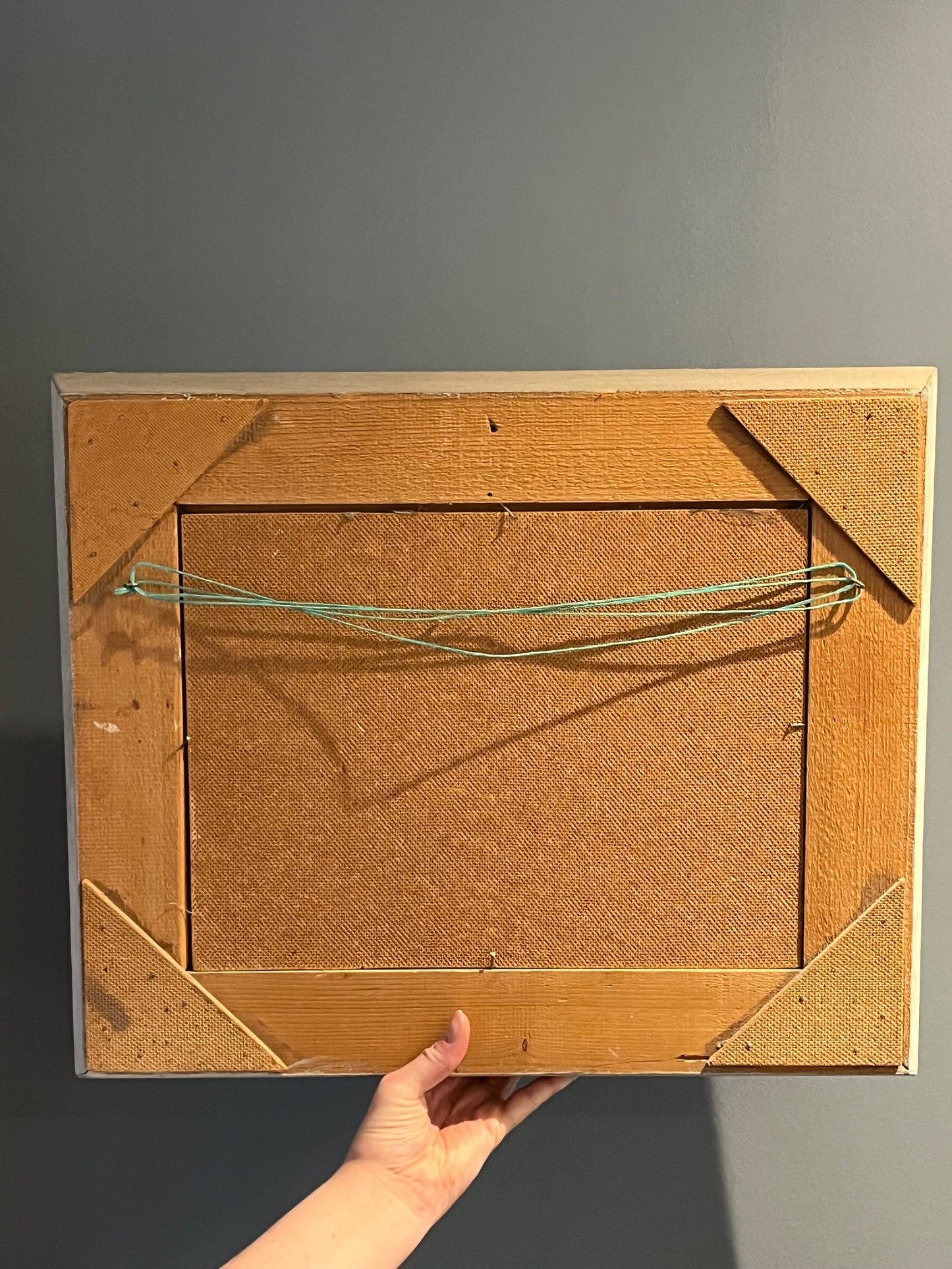 Swiss Alpine Flowers.