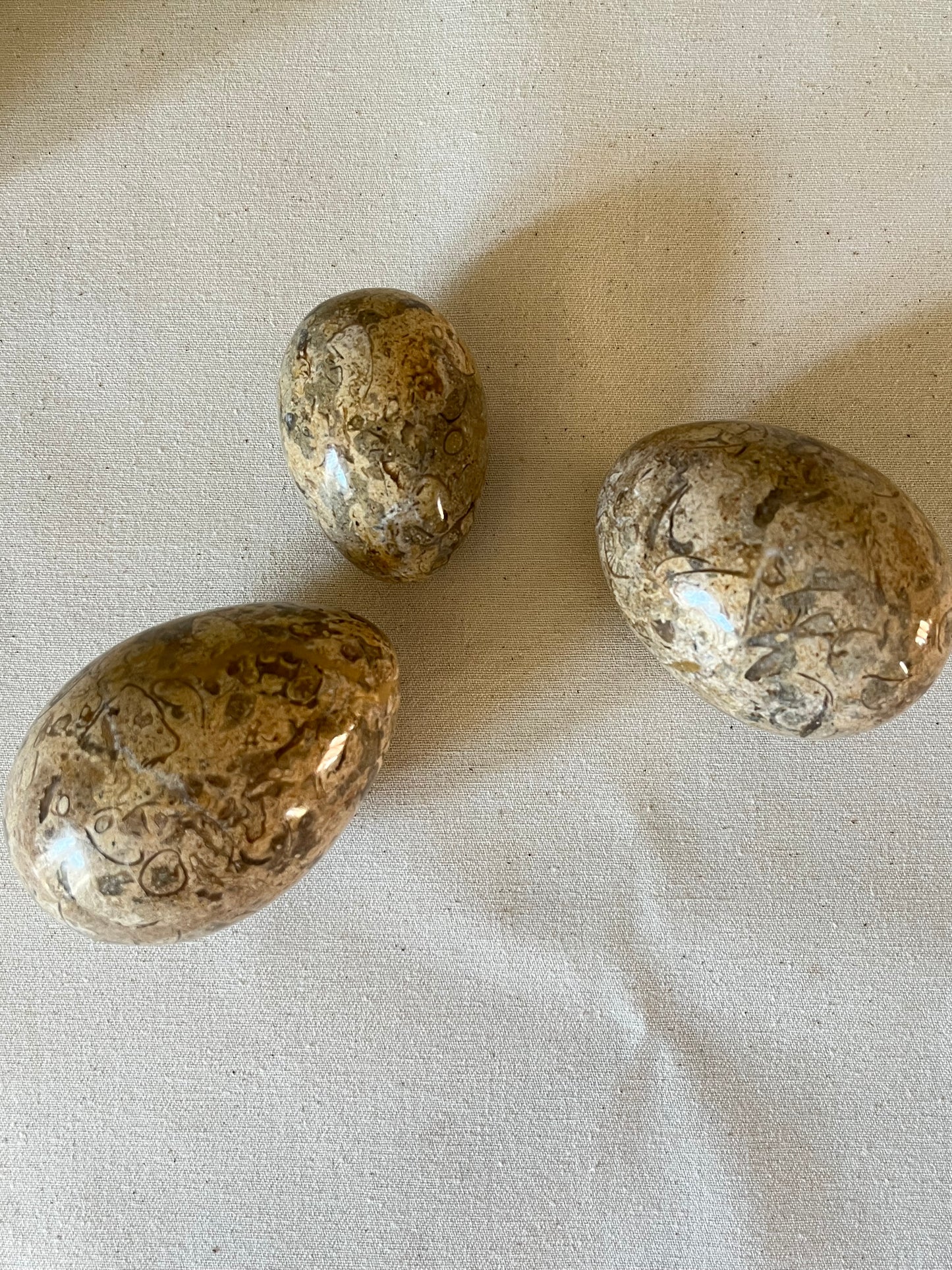 A Trio of Fossil Eggs.