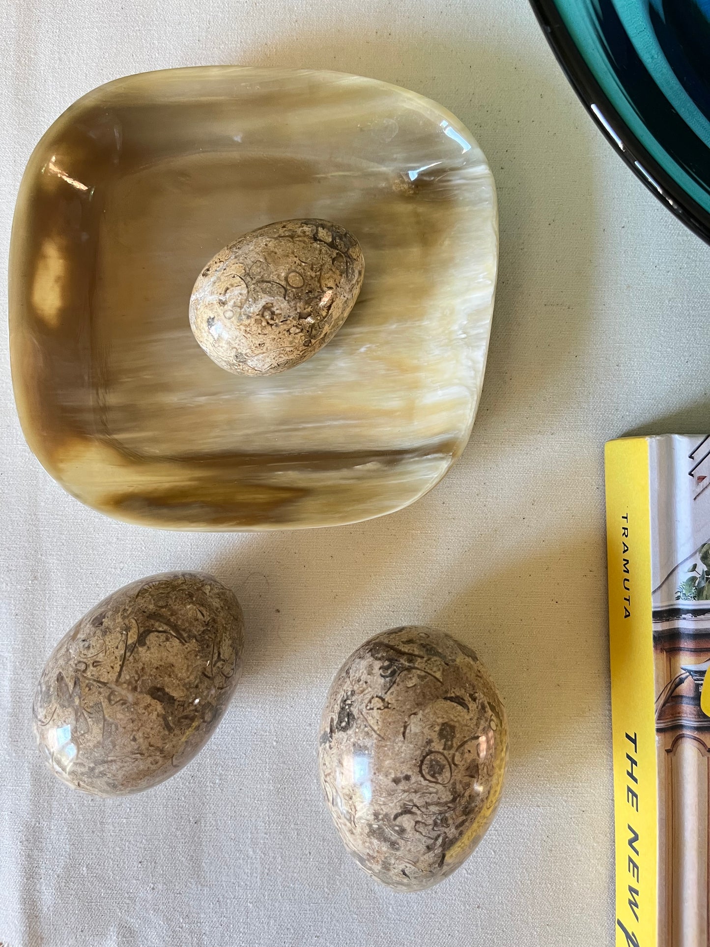 A Trio of Fossil Eggs.