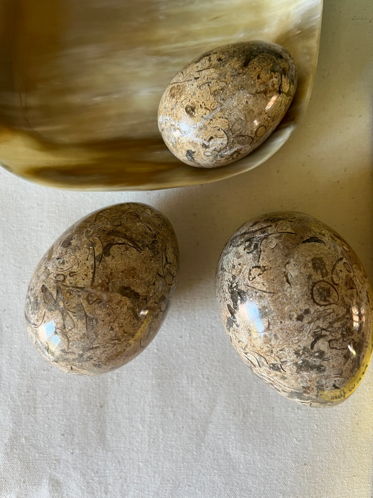 A Trio of Fossil Eggs.