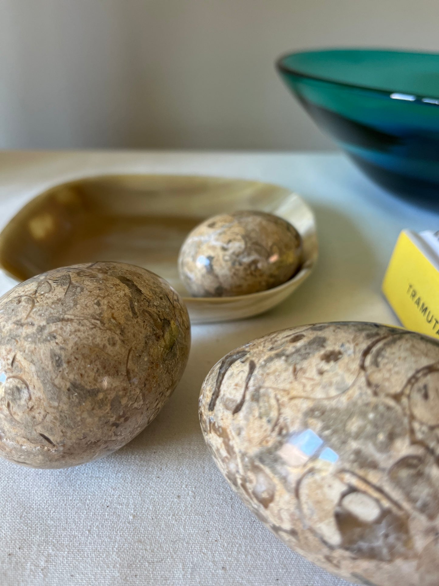 A Trio of Fossil Eggs.