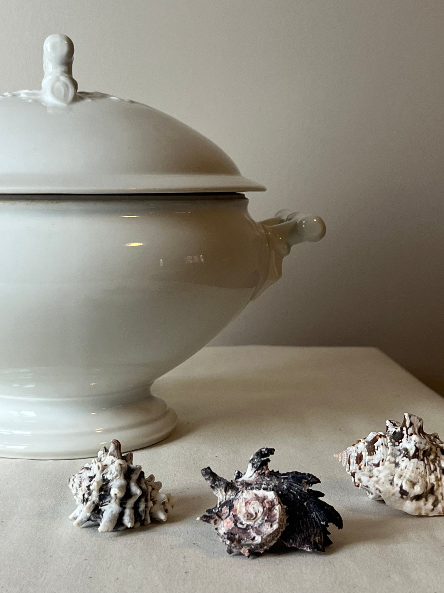 French Tureen.