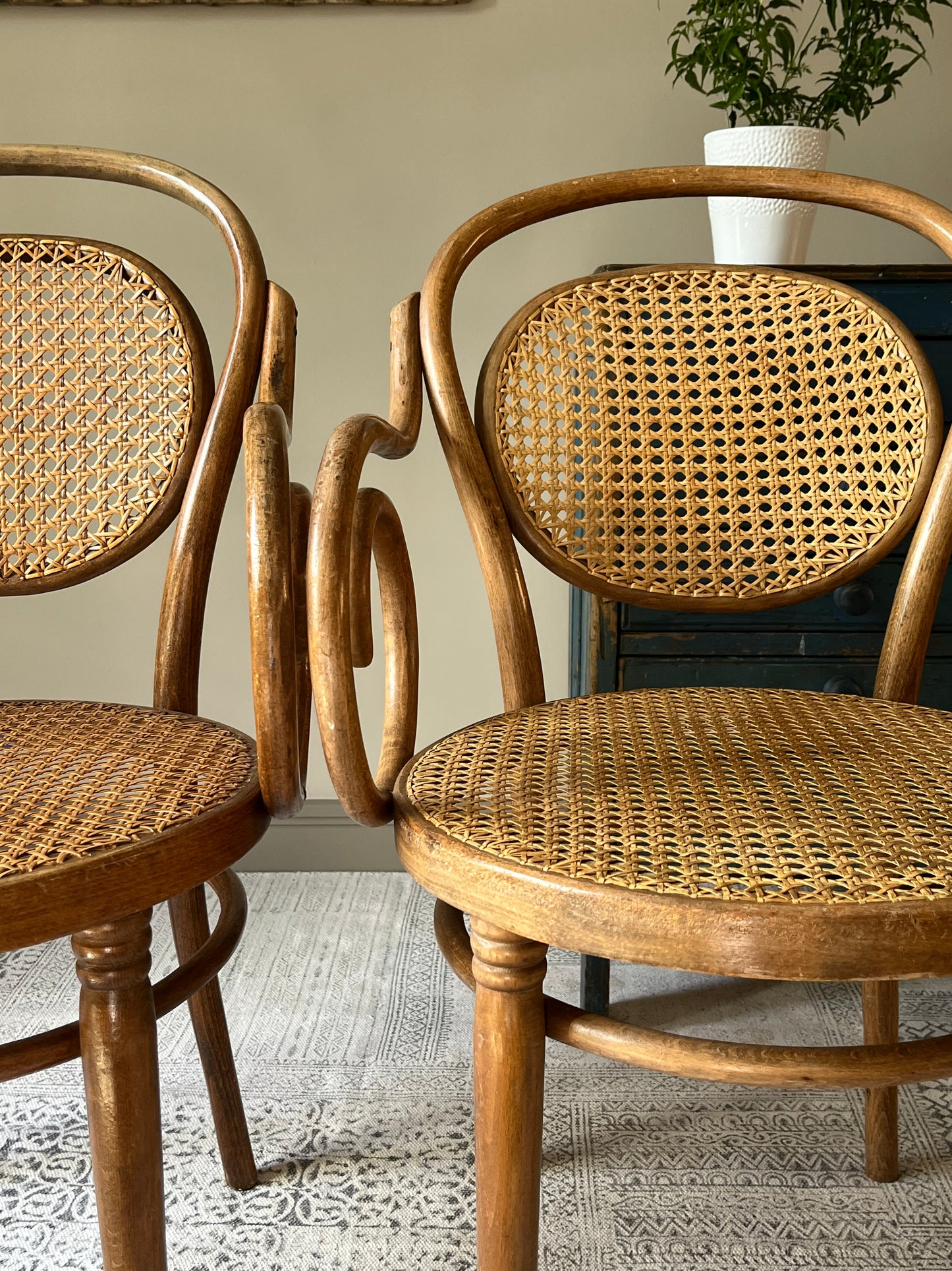 Pair of Bentwood Armchairs.