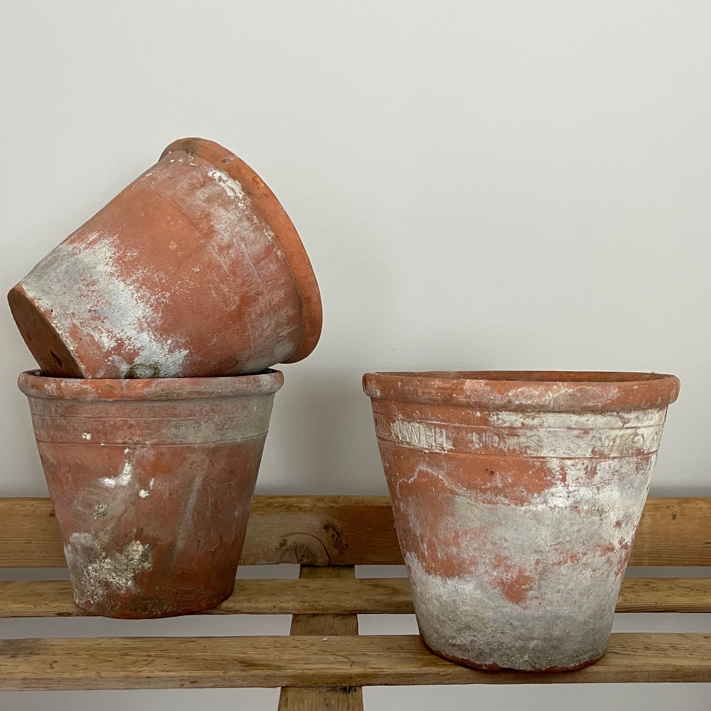 Set Of Three Sankey Pots.