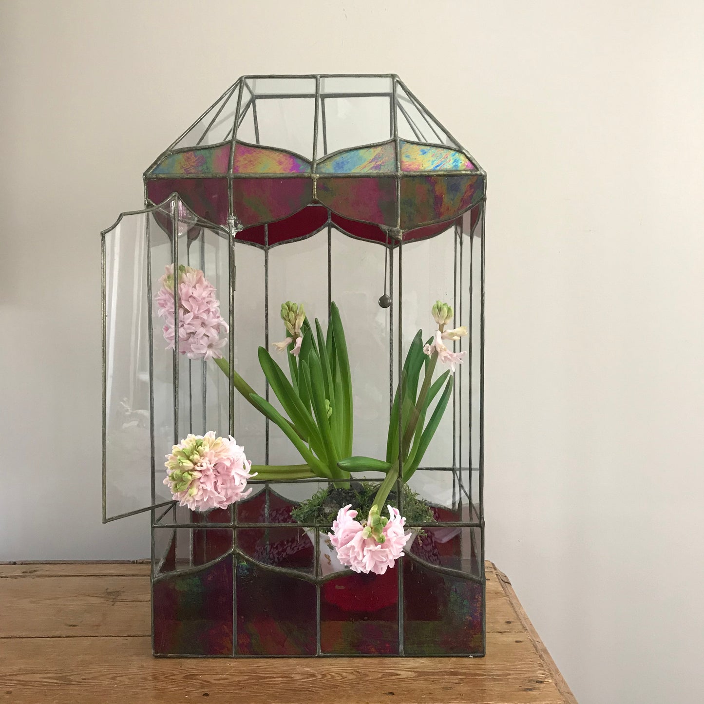 Large Terrarium.