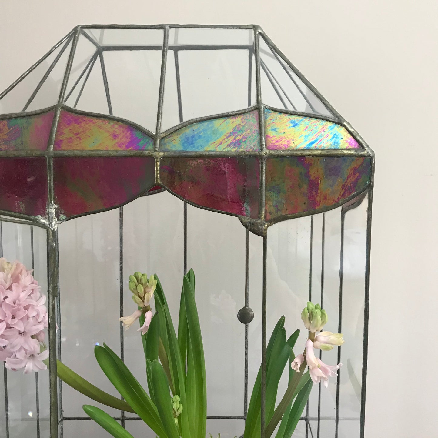 Large Terrarium.
