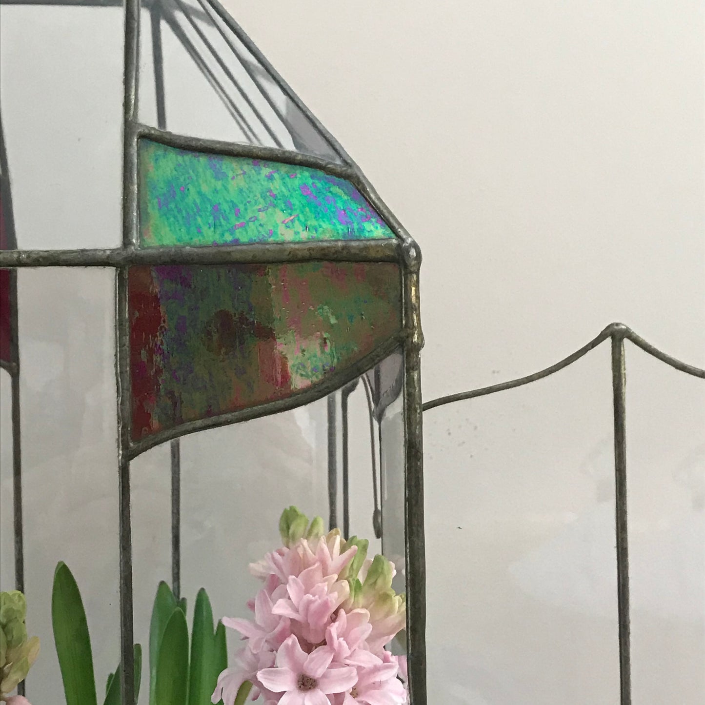 Large Terrarium.