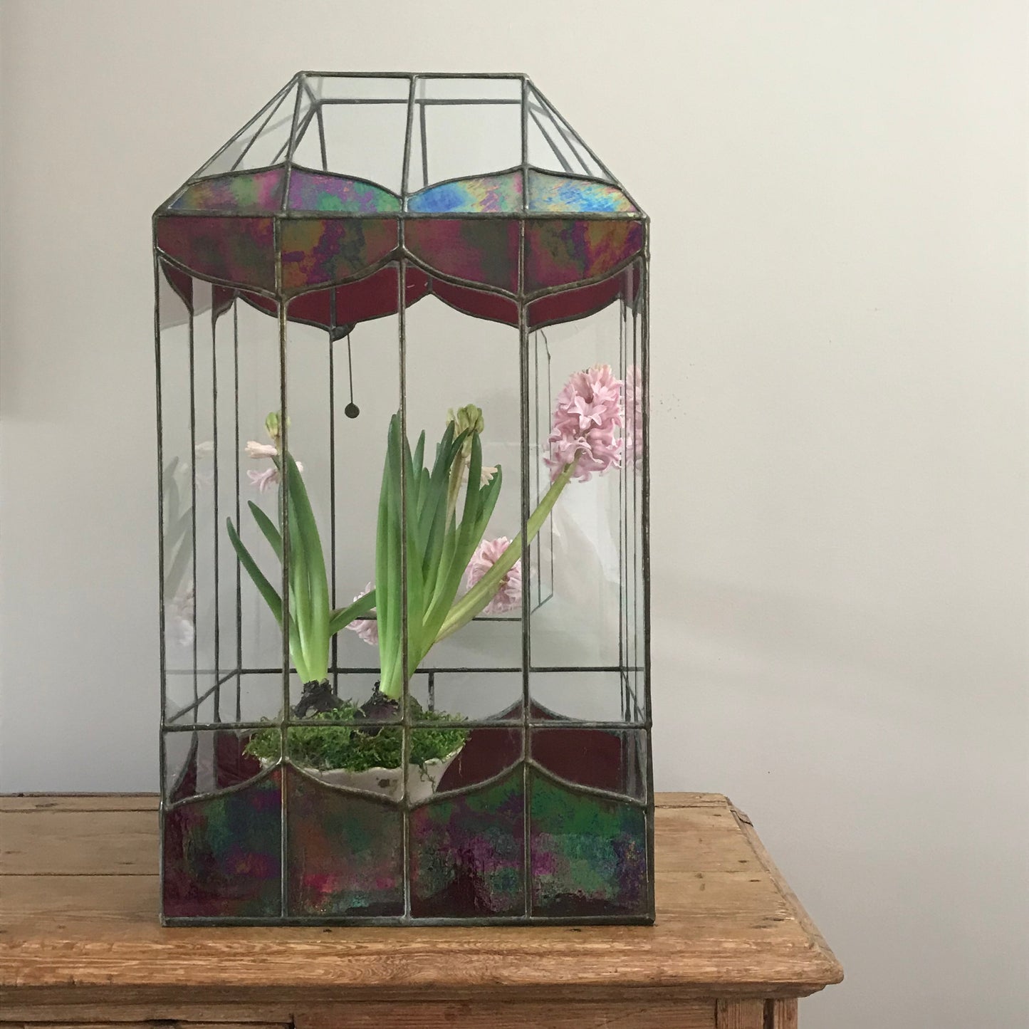 Large Terrarium.