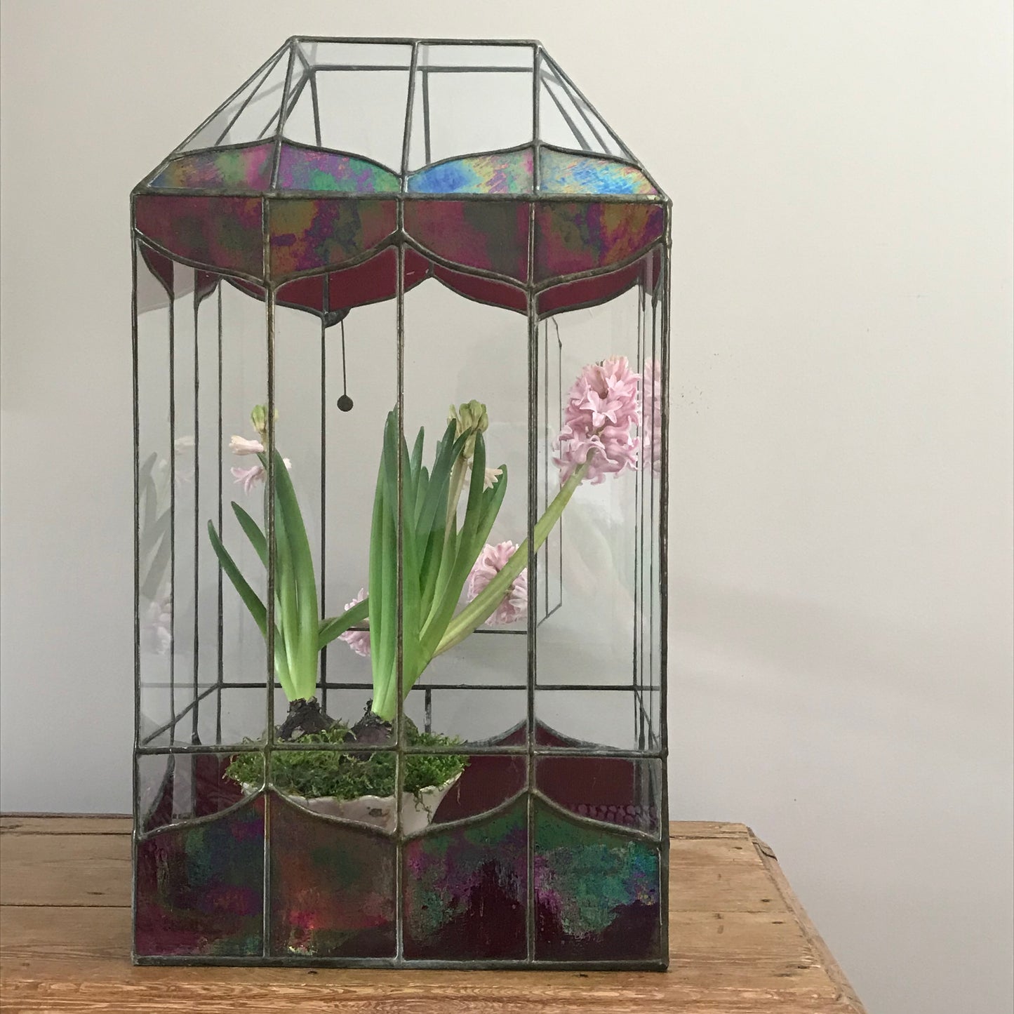 Large Terrarium.