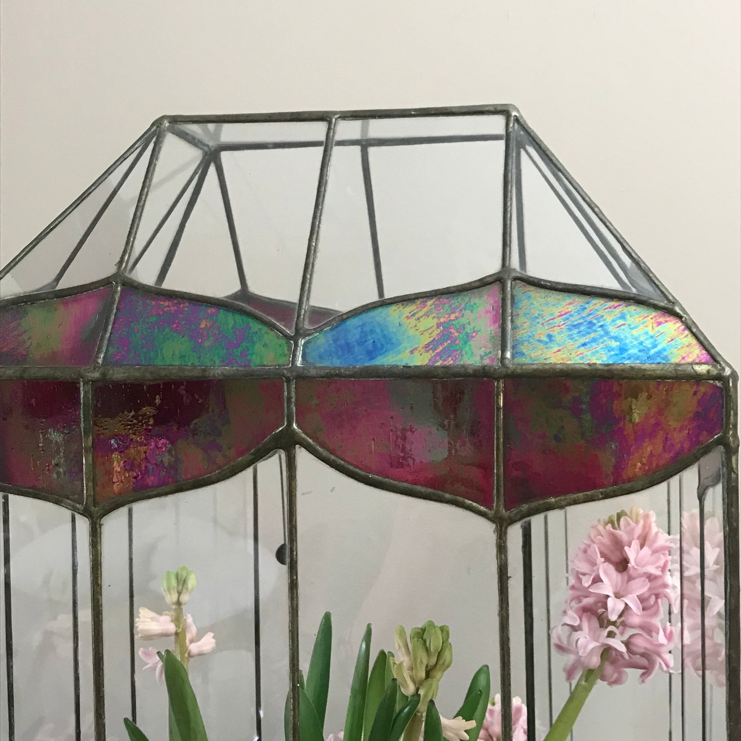 Large Terrarium.