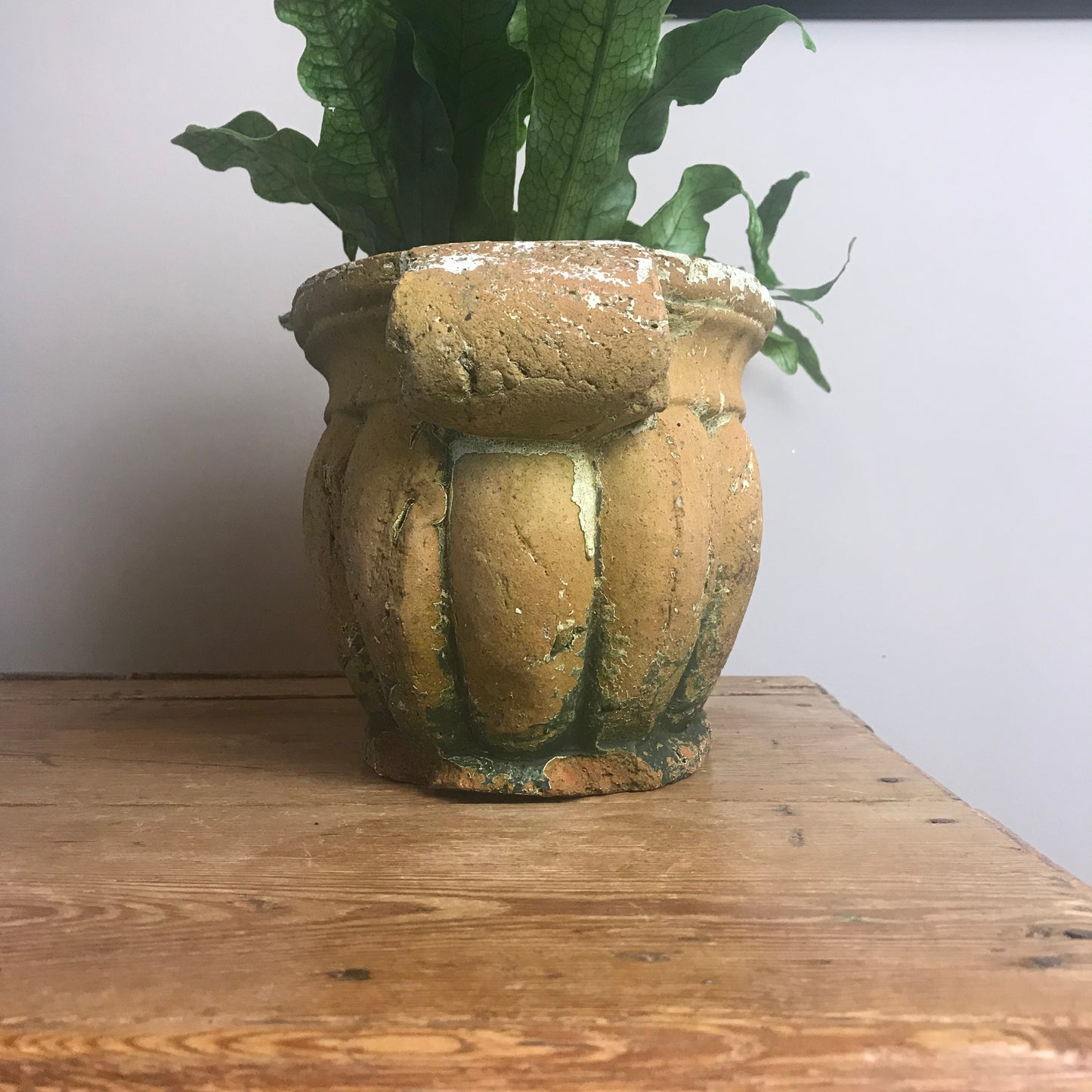 Terracotta Urn.