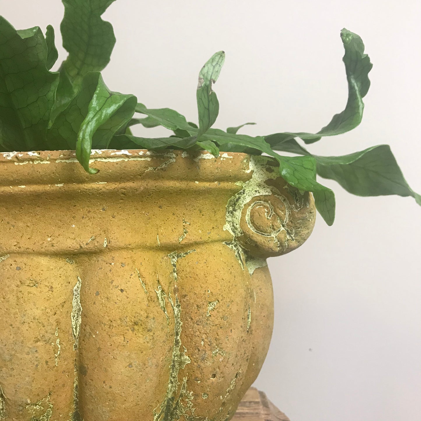 Terracotta Urn.
