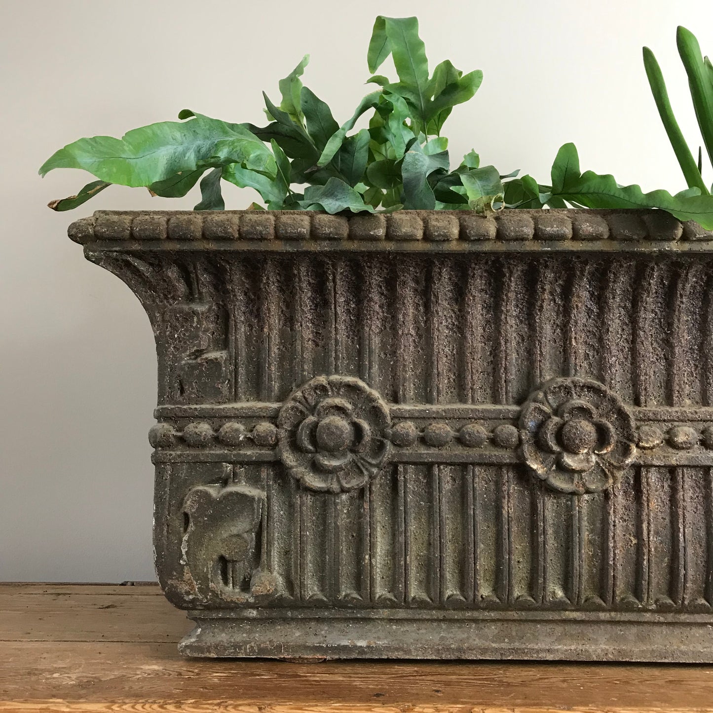 Cast Iron Planter.