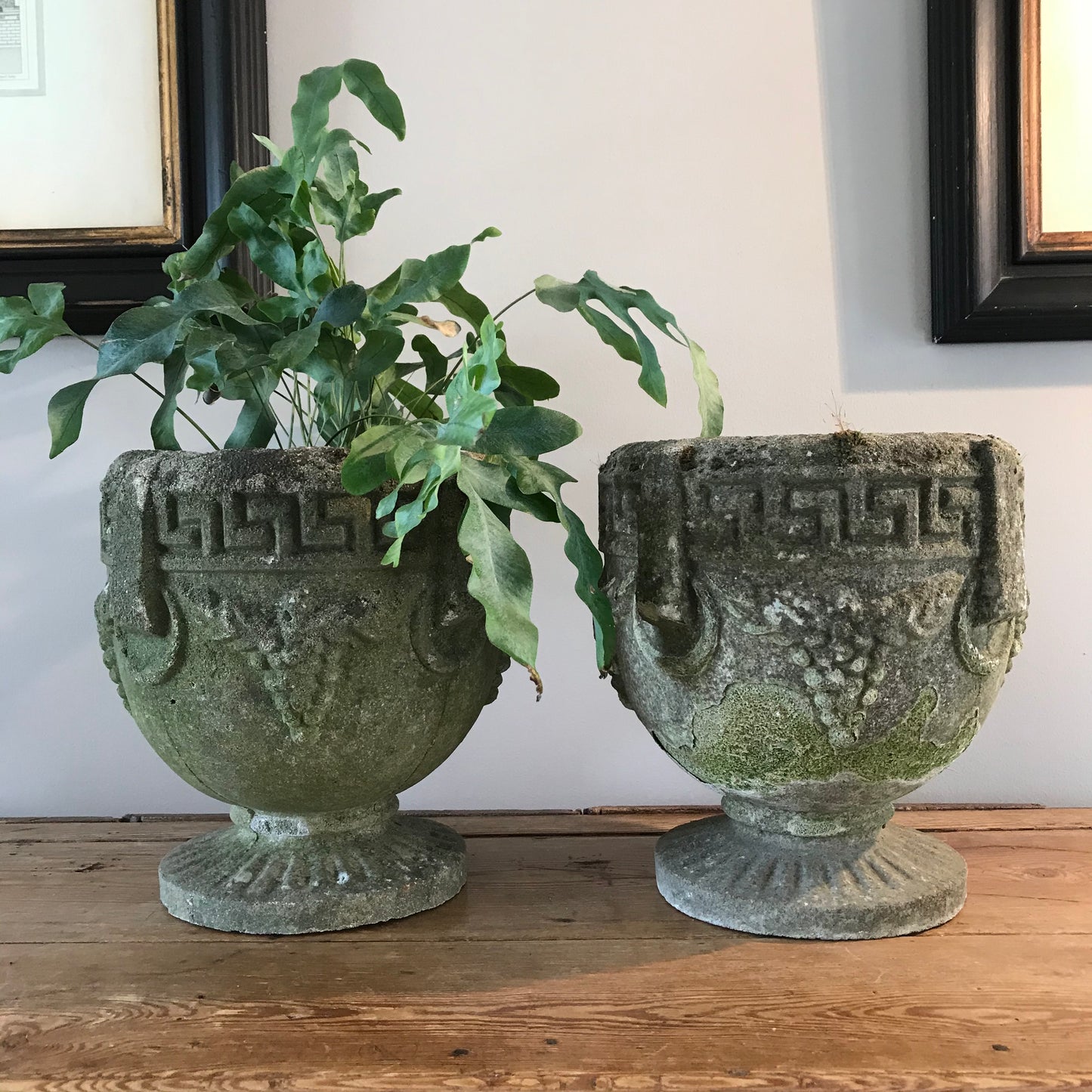 Pair of Urns.