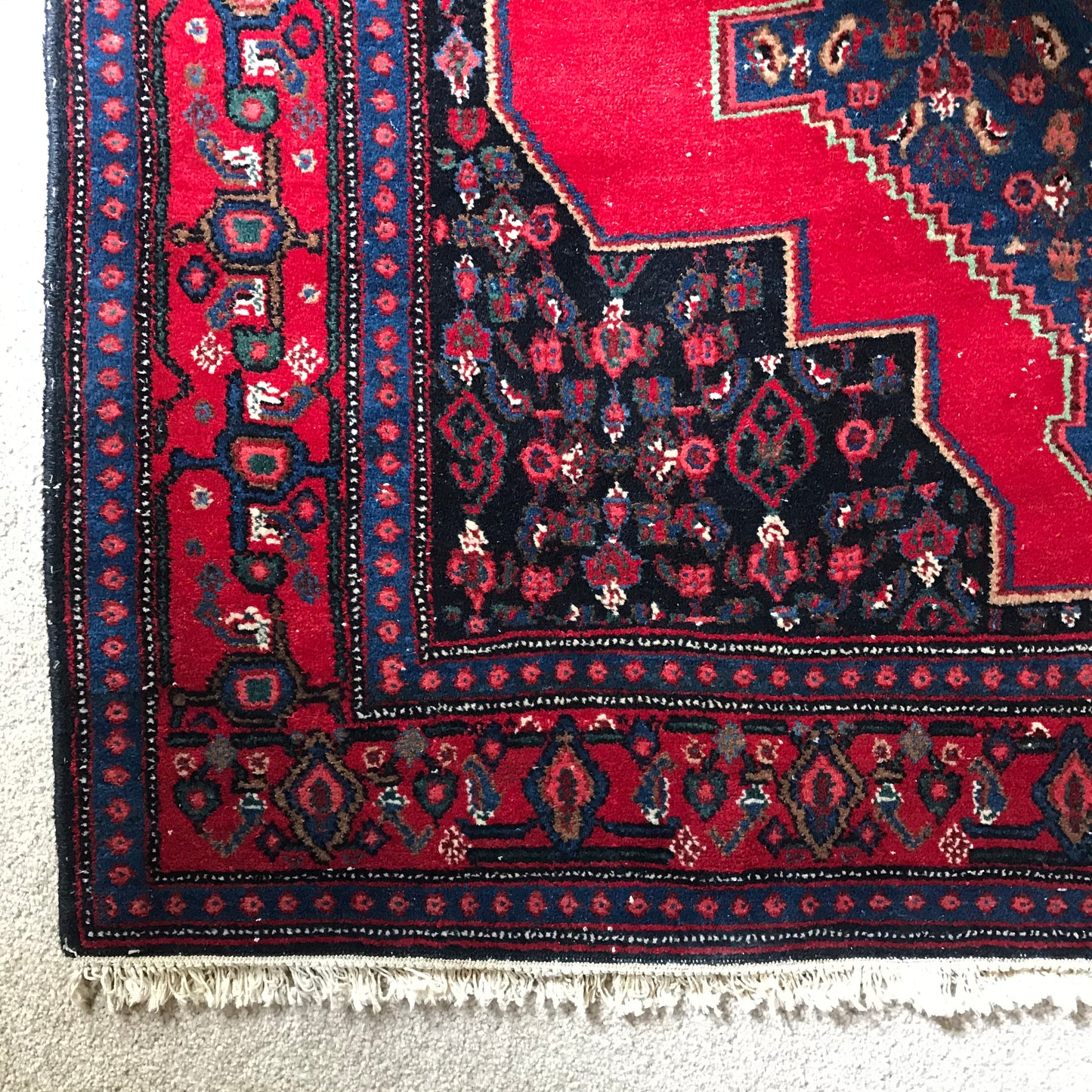 Hamadan Rug.