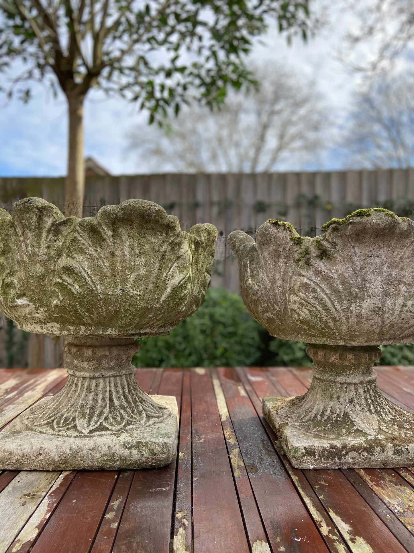 Pair Of Acanthus Composite Planters.