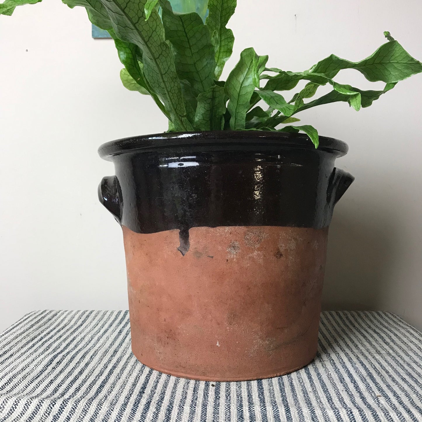 Treacle Glazed Terracotta Pot.