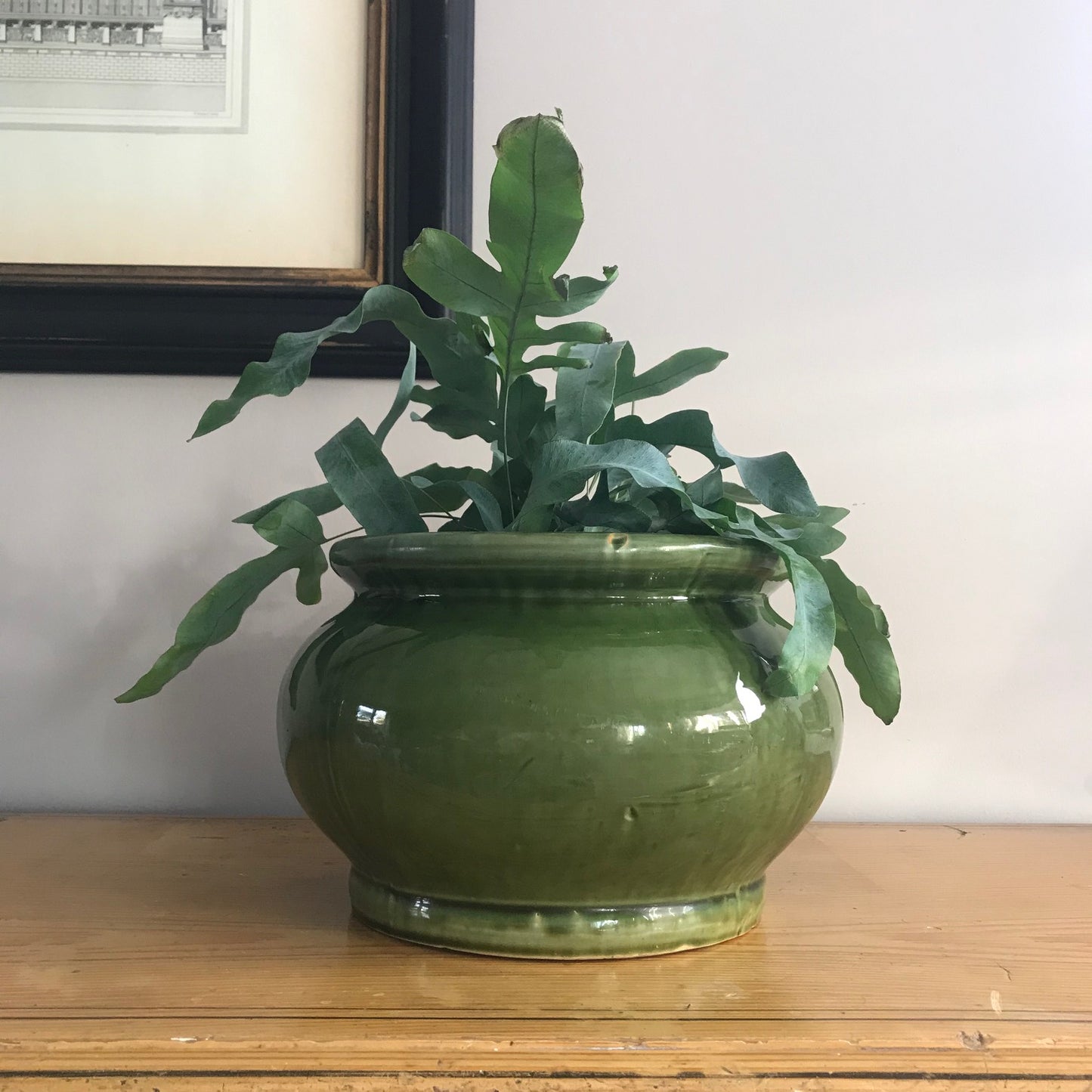 Green Glazed Pot.