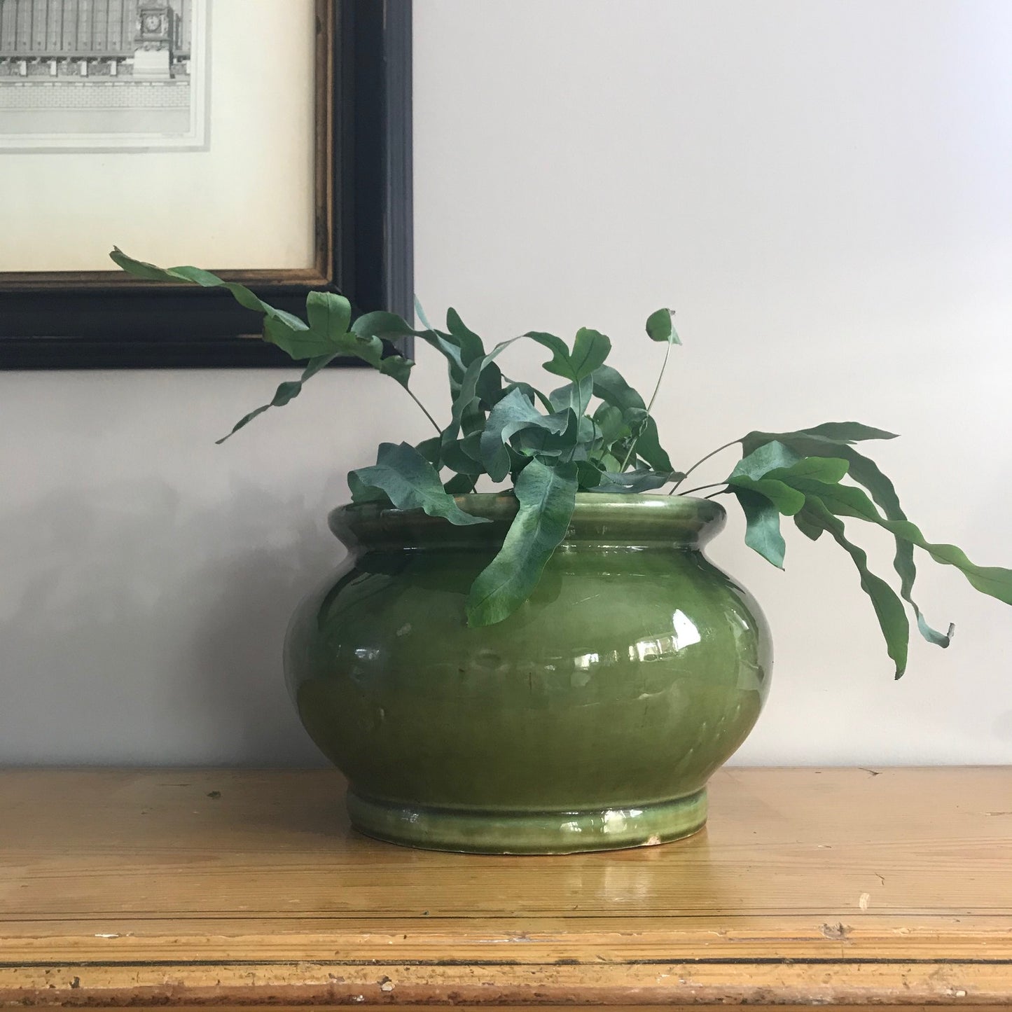Green Glazed Pot.