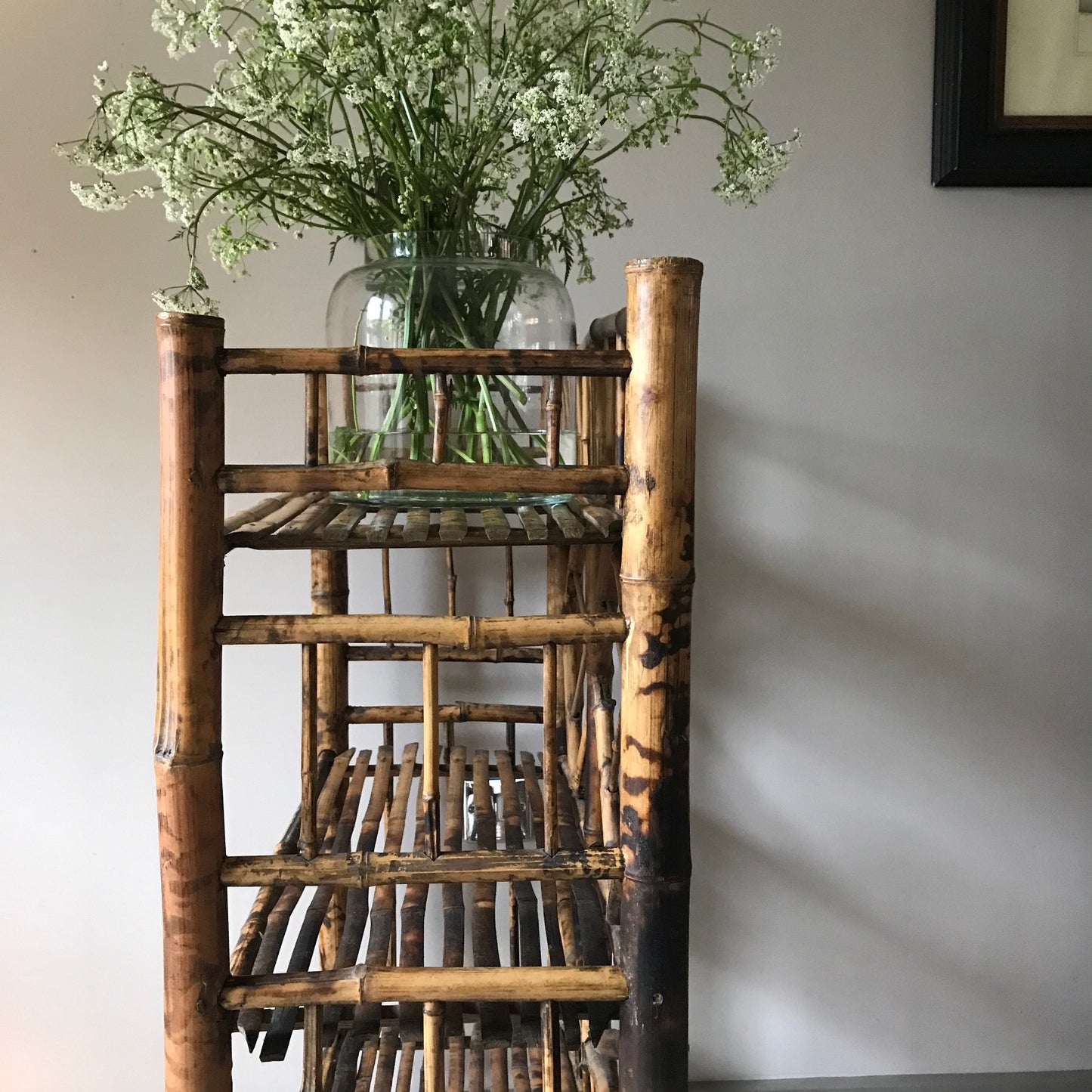 Tiger Bamboo Shelves.