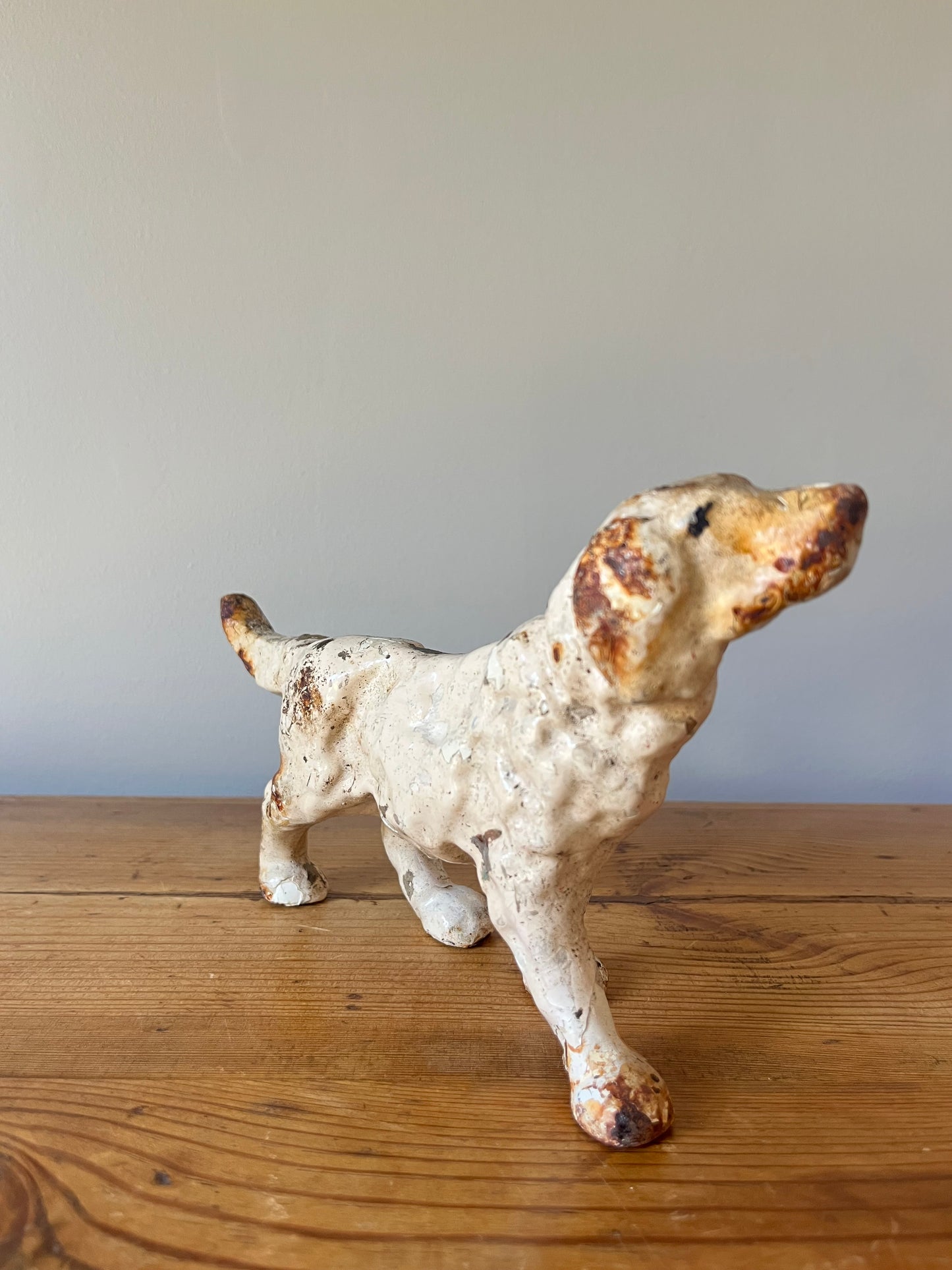 Hunting Dog.