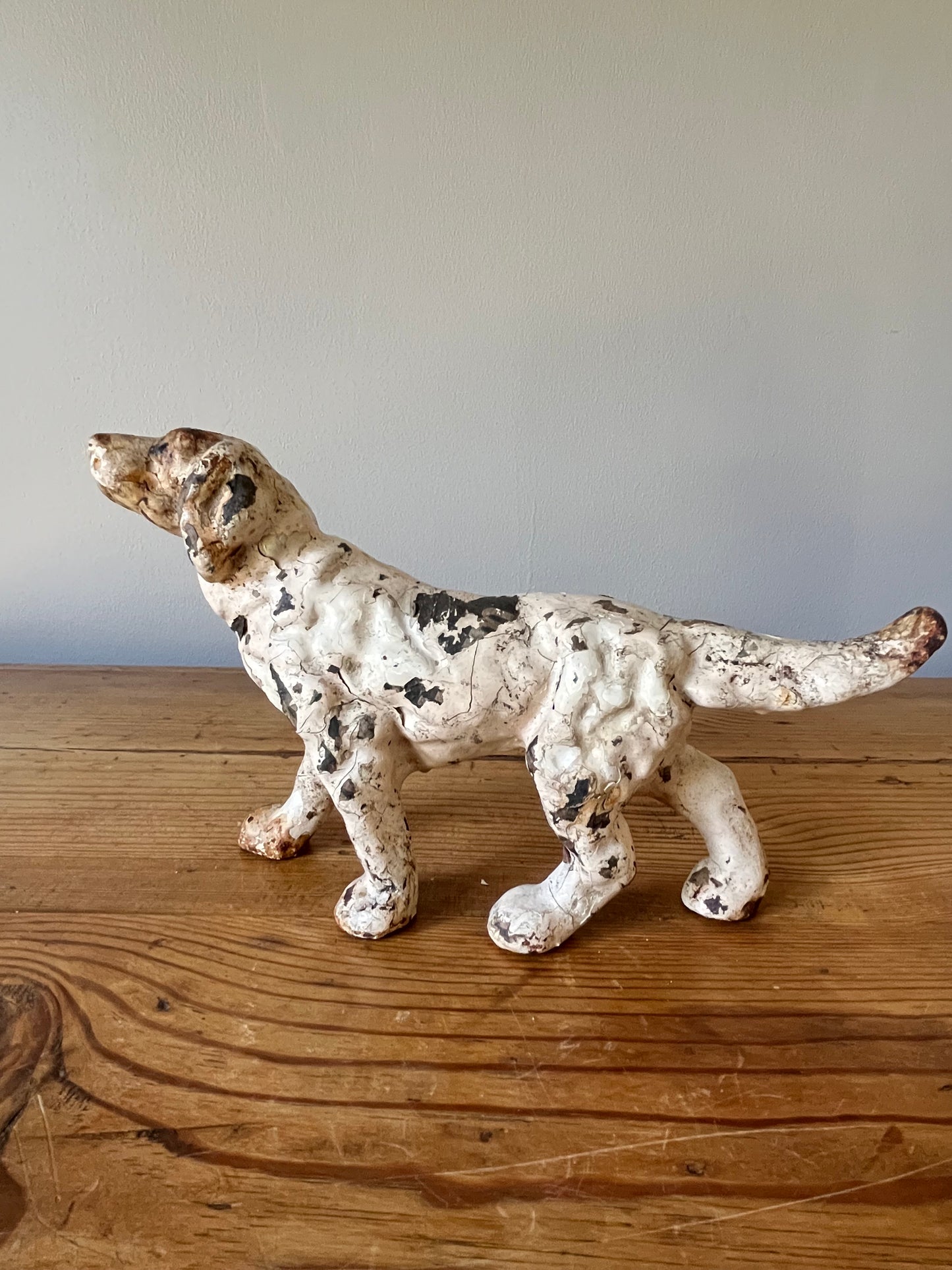 Hunting Dog.