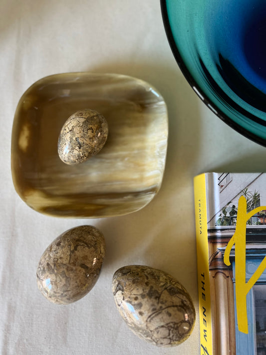 A Trio of Fossil Eggs.