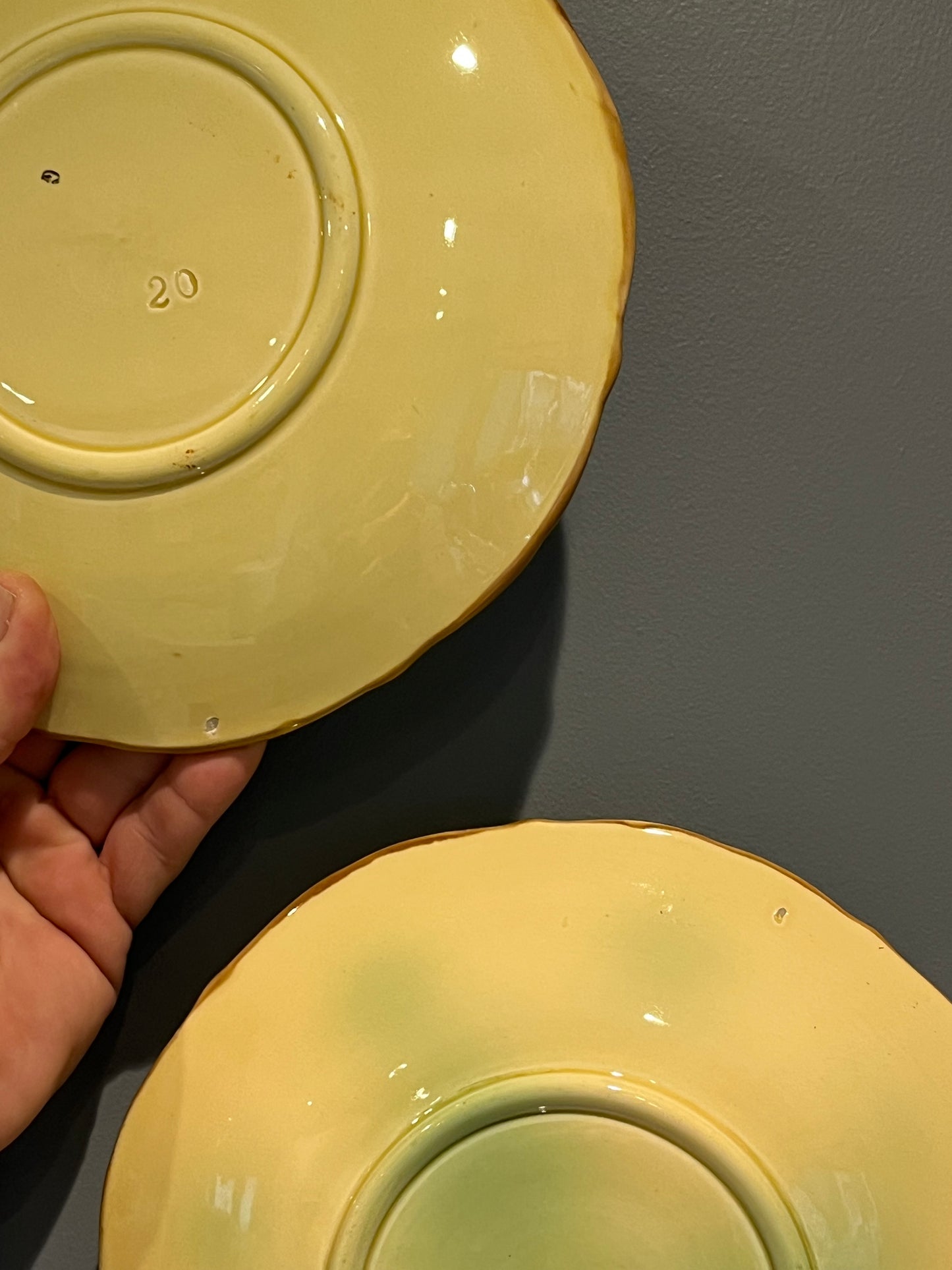 A Pair of Majolica Plates.