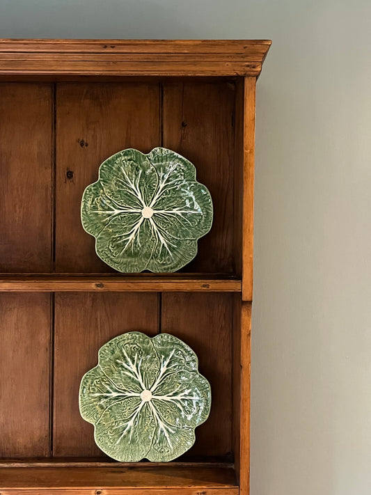 A Pair of Cabbage Plates.
