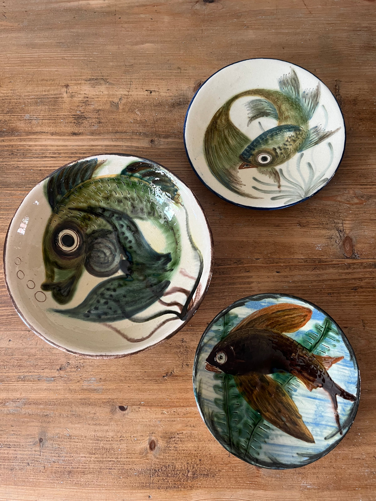 Puigdemont Fish Bowl.