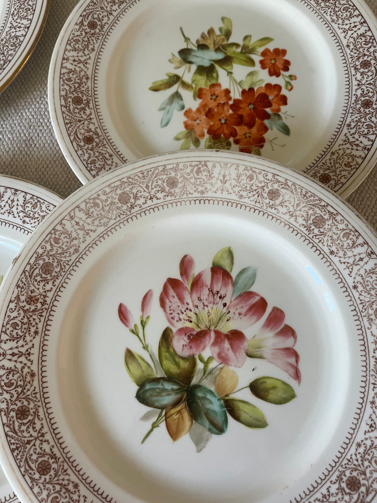 A Set of Ten Plates.