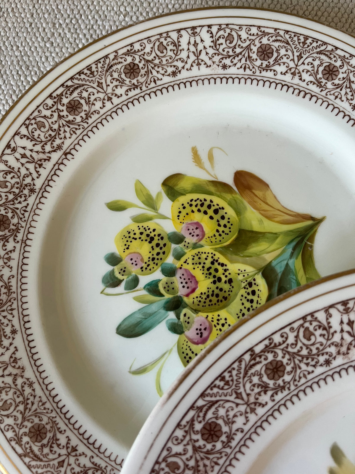 A Set of Ten Plates.
