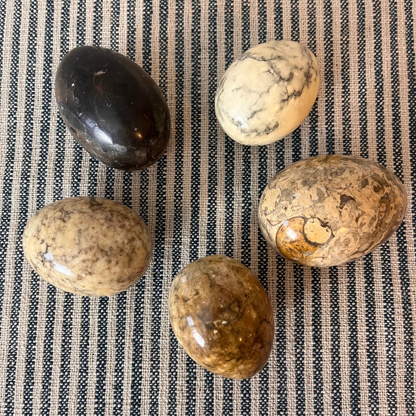 Decorative Eggs.