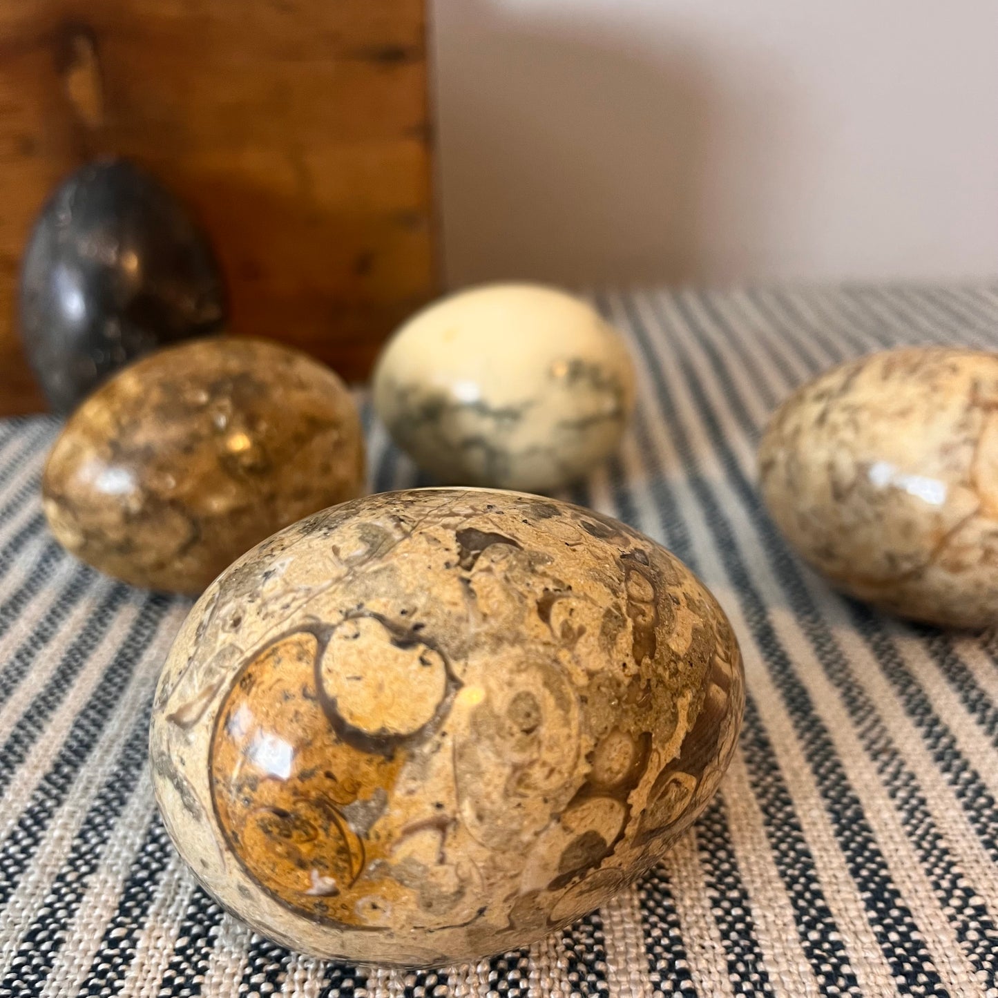 Decorative Eggs.