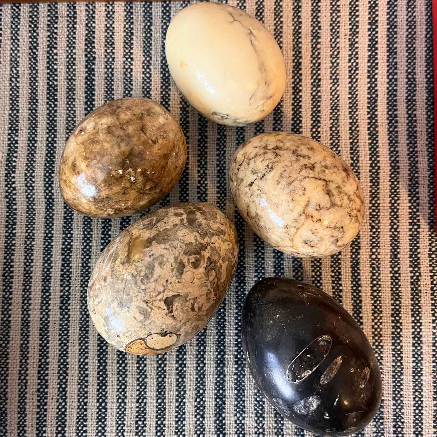 Decorative Eggs.