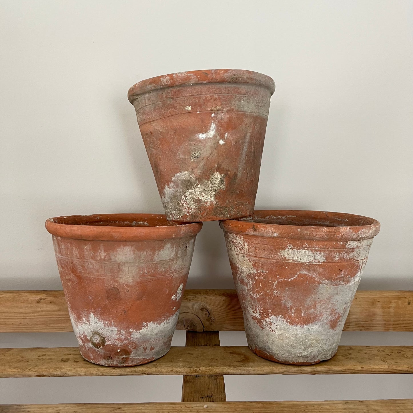 Set Of Three Sankey Pots.