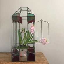 Load image into Gallery viewer, Large Terrarium.
