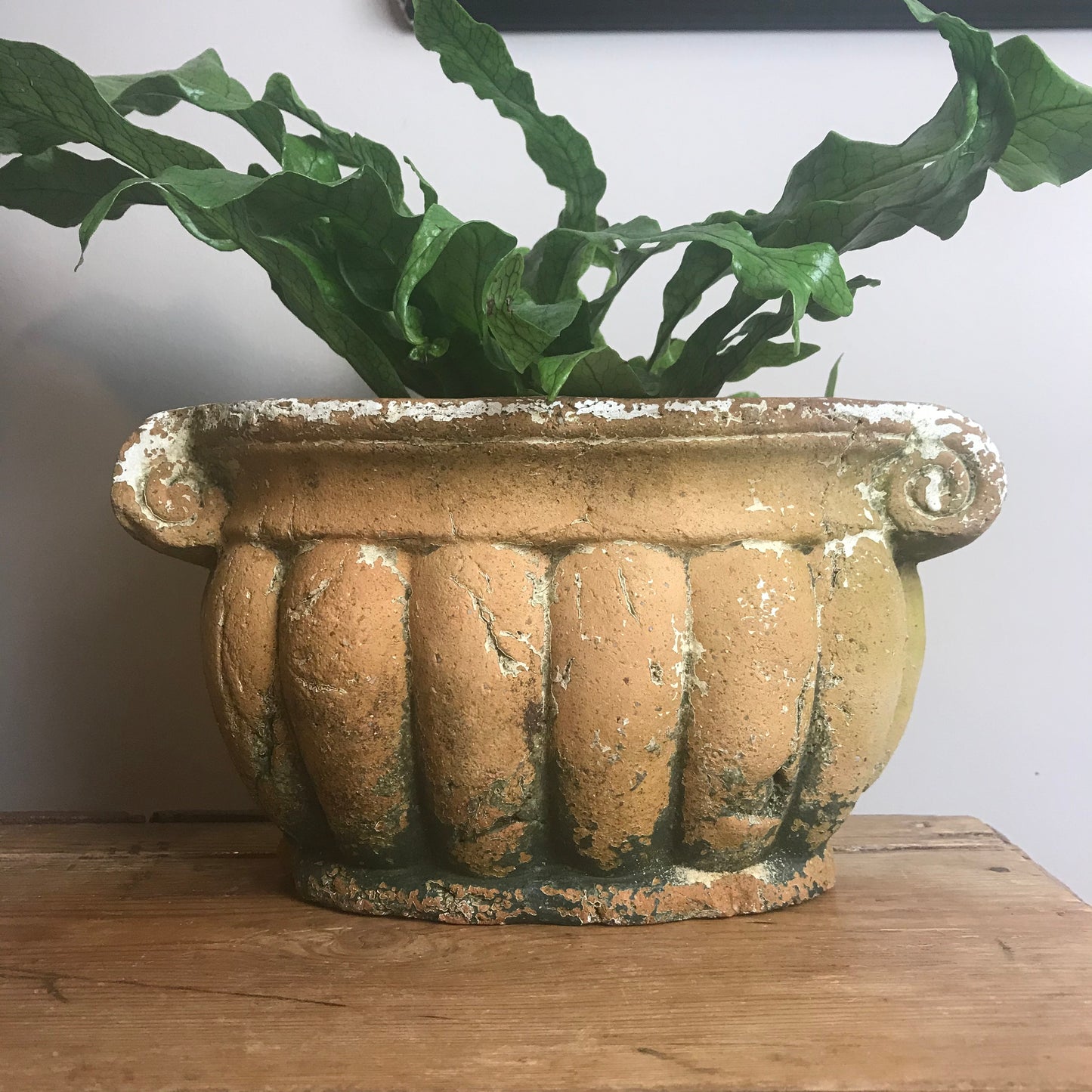 Terracotta Urn.