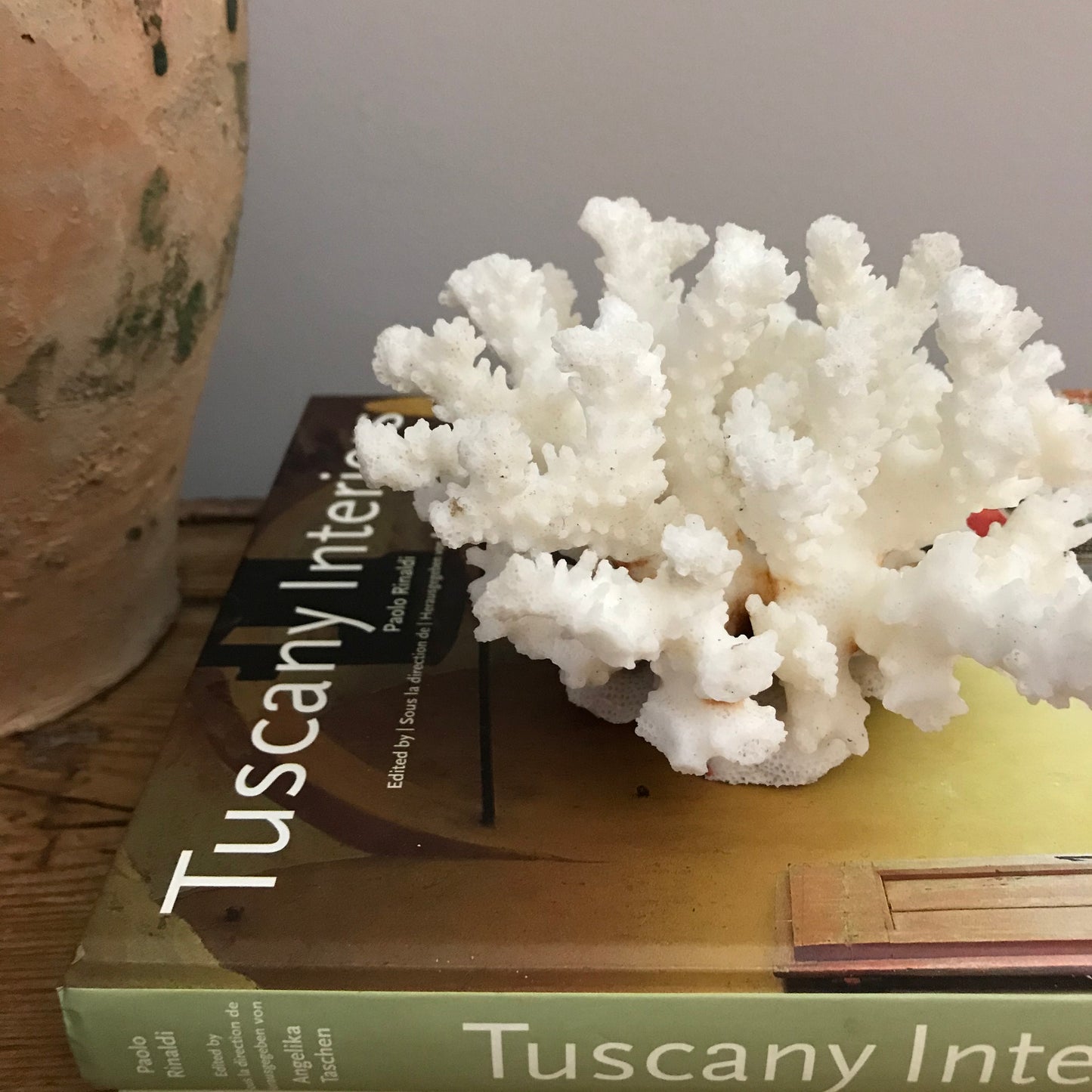 Coral.