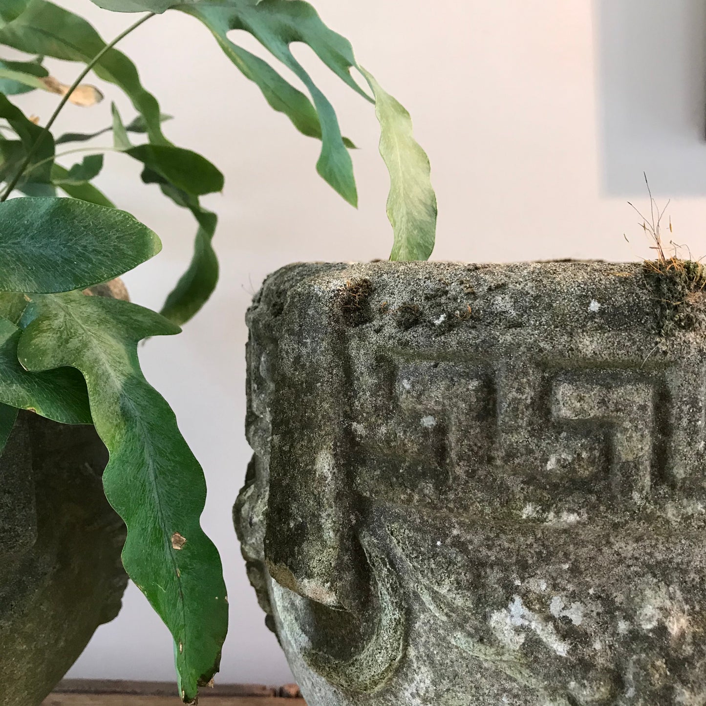 Pair of Urns.