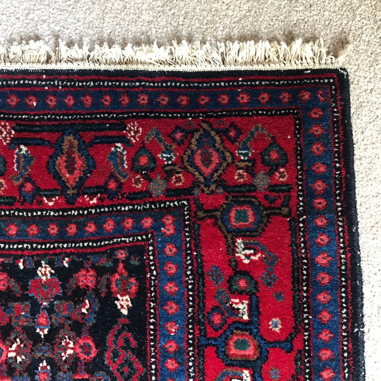 Hamadan Rug.
