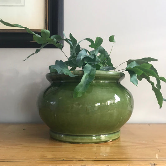 Green Glazed Pot.