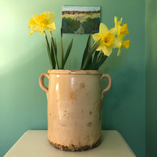 Load image into Gallery viewer, Italian Glazed Terracotta Preserving Pot.
